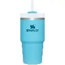 STANLEY 20oz The Quencher H2.O Flowstate Tumbler no Handle