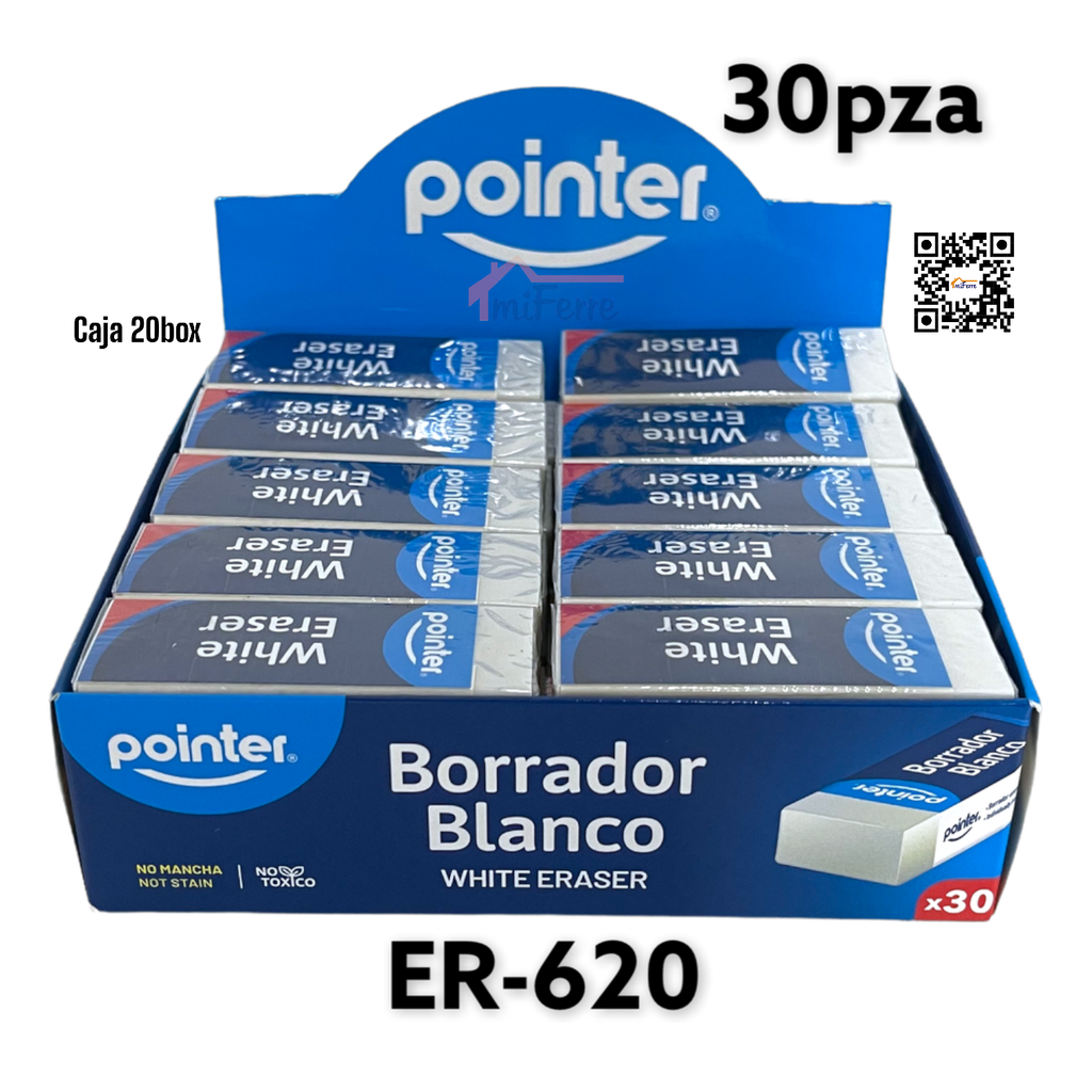 Borrador POINTER